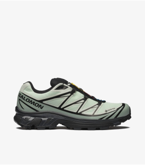  Xt-6 Gtx – Sea Foam Green Milieu Black