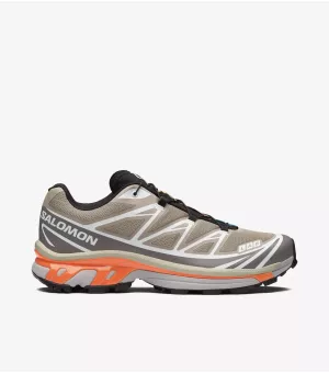  Xt-6 – Silver Sage Cloudburst Dragon Fire